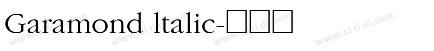 Garamond ltalic字体转换